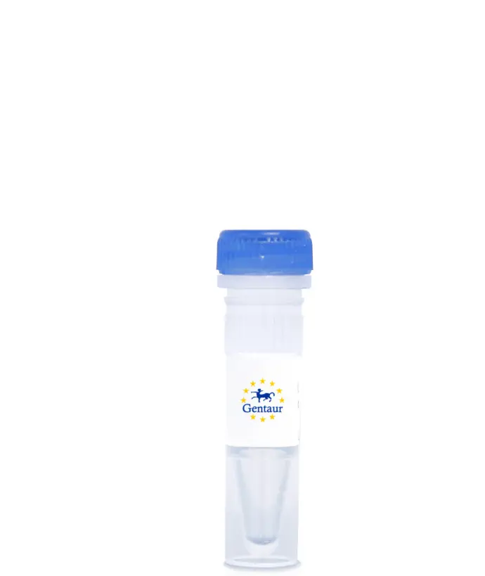 Cholera Toxin (Azide Free)1